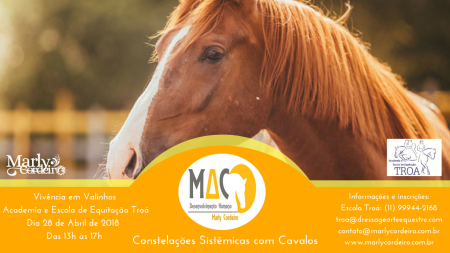 Constelação Sistêmica com Cavalos - Marly Cordeiro - 28 de Abril de 2018